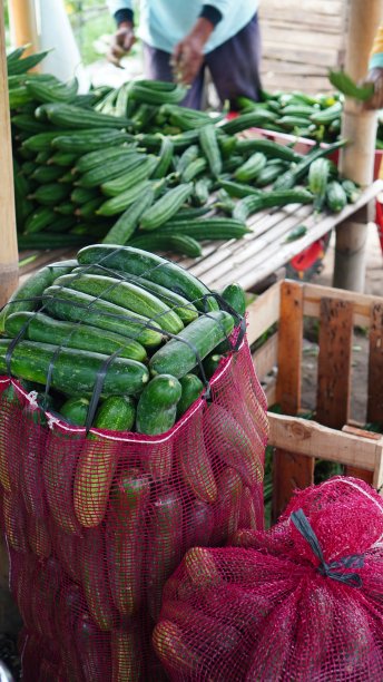 包装收获图片下载