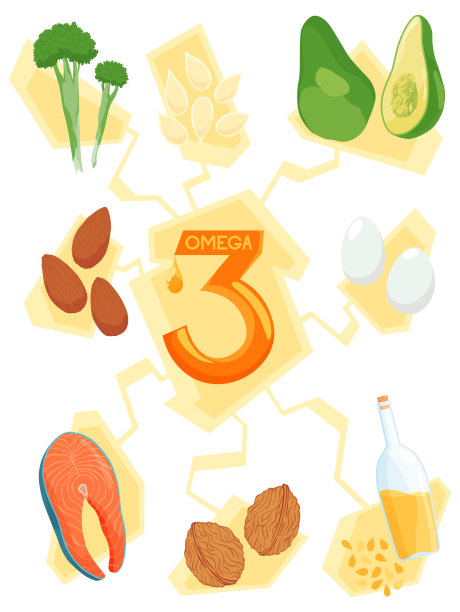 Omega-3含量最高的食物。健康的心脏和心血管系统。健康的生活方式。均衡的饮食。健康营养的基础知识。说明性的方案图片下载