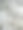 一组白色小花的图片图片下载