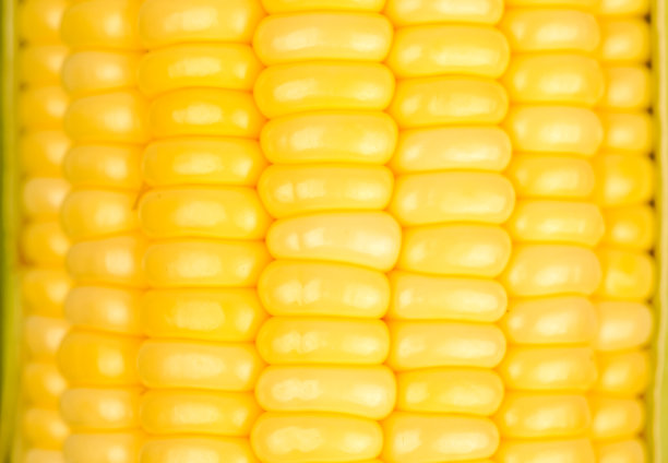 俯视图特写照片图像黄色的甜玉米籽粒在穗轴上，密密麻麻的玉米种子作为背景，背景纹理的黄色玉米。图片下载