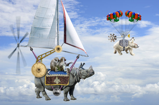 犀牛和北极熊之间的赛跑图片下载