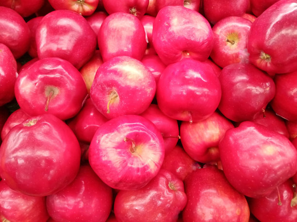 苹果，猕猴桃，山竹，橙子，鳄梨，芒果，蛇果和火龙果图片下载