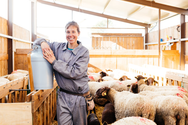 一群面带微笑的成年妇女和谷仓里的羊群图片下载
