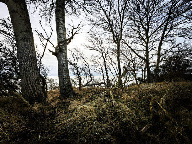 波罗的海费尔马恩岛冬天的照片图片下载