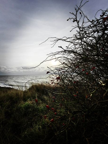 波罗的海费尔马恩岛冬天的照片图片下载