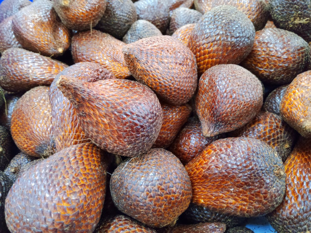 苹果，猕猴桃，山竹，橙子，鳄梨，芒果，蛇果和火龙果图片下载