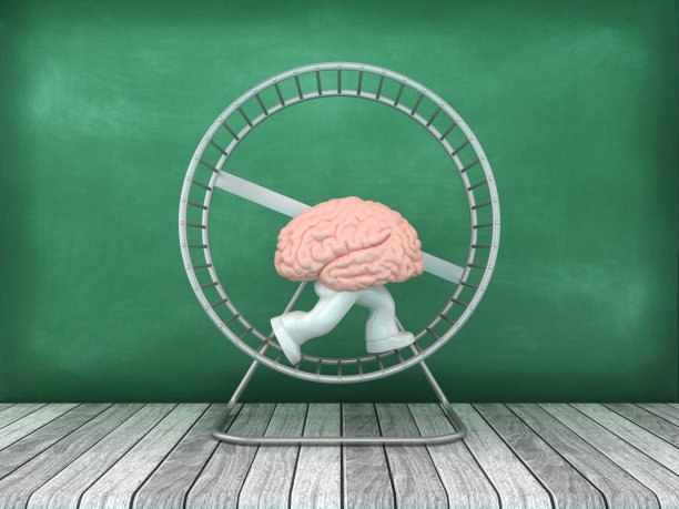 练习仓鼠笼轮与大脑运行图片下载