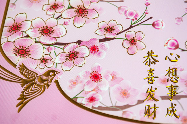 中国新年装饰艺术用鸟语和花语表达新年的祝福图片下载
