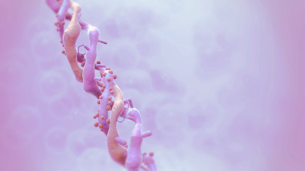 胶原蛋白三螺旋分子。图片下载