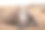 在斯威士兰的赫兰国家公园，犀牛休息的特写照片。图片下载