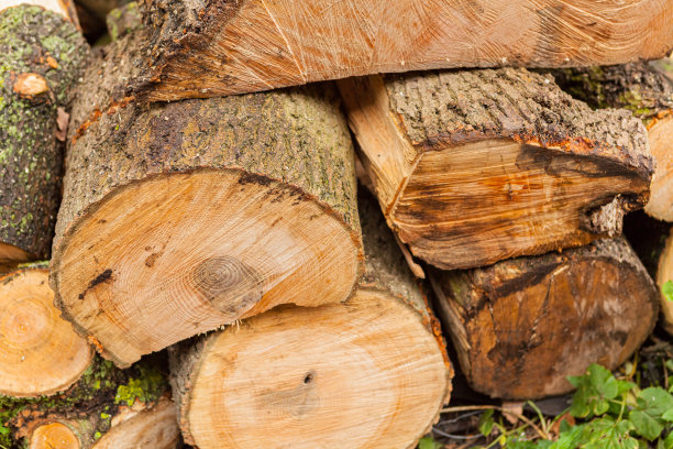 一堆桦木壁炉的照片。背景图片图片下载