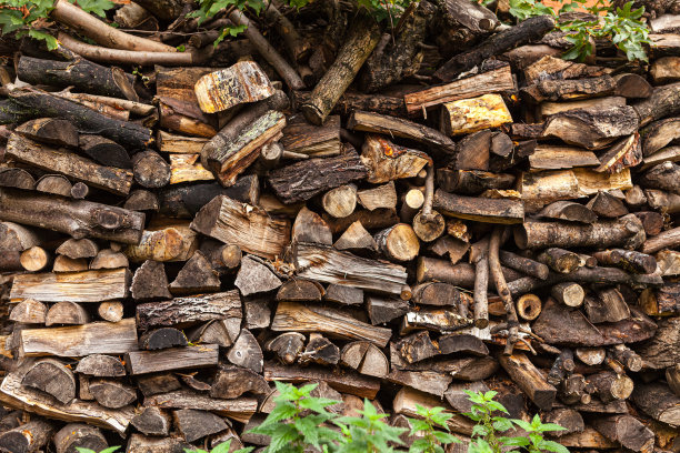 一堆桦木壁炉的照片。背景图片图片下载
