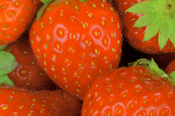 草莓的彩色微距照片。草莓的快照适合作为夏天的概念，夏天的茶点，晚上的花园聚会。餐厅，冰淇淋店和水果吧的概念图片下载