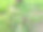 树根和绿草图片 树根和绿草图片下载
