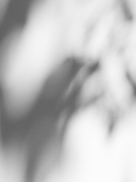 阴影背景覆盖墙光白色植物抽象背景阳光模型最小效果框架黑灰色阴影设计地板模糊水泥自然叶夏季模板外部背景空。图片下载