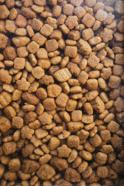 智利一家宠物店户外展示的狗粮特写图片下载