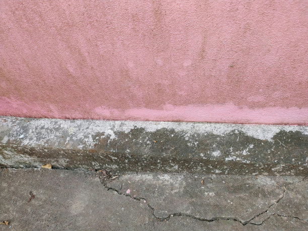 一张照片，一只猫躺在粉红色墙壁旁边的地上。图片下载