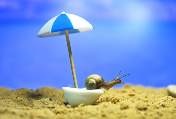 蜗牛在海滩上洗澡。在海边休息。以度假为主题的概念性宏观照片图片下载