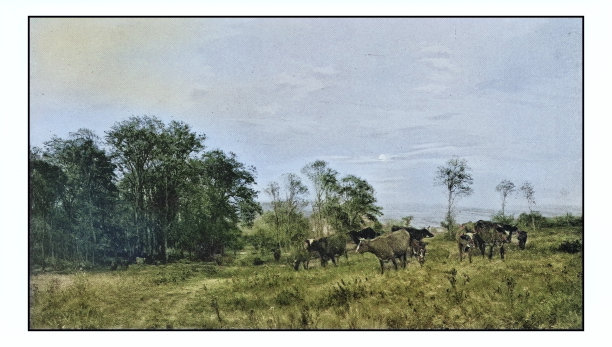 古董绘画照片:风景图片下载