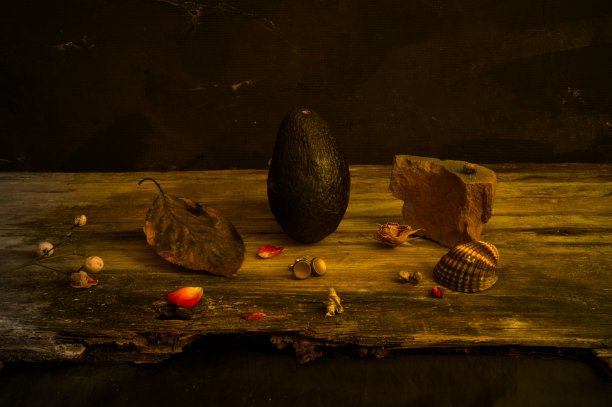 海洋静物与贝壳，珊瑚，木瓜，鳄梨，花瓣，种子。厨房或餐厅壁纸图片下载