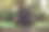 美女在绿油油的公园里做瑜伽。瑜伽姿势。冥想的女人。精神和健康。各种各样的印度姿势。图片下载