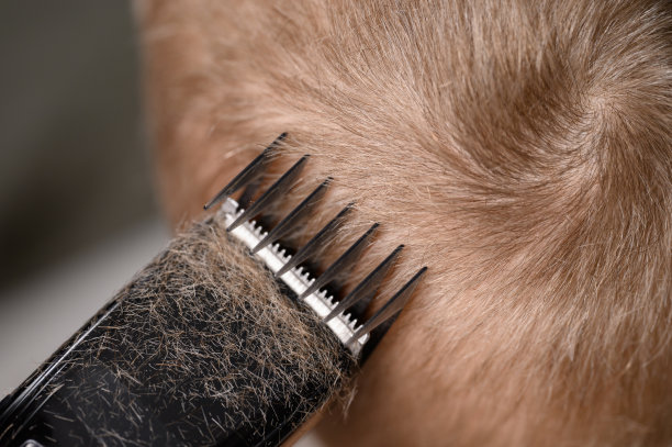 一个拿着剪刀的男孩的金发，特写。护发理念。图片下载