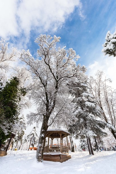 一个美丽的阳光明媚的一天，在一个公园在冬天与雪的股票照片图片下载