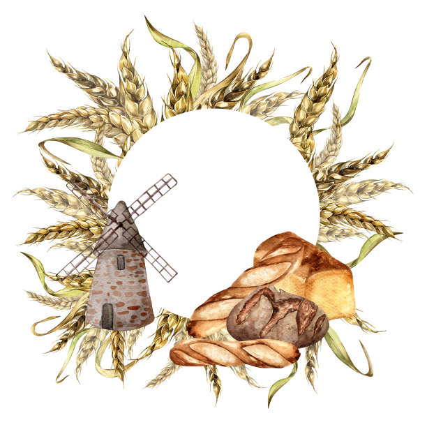 圆形框架小麦穗和面包水彩插图孤立在白色背景。农村手工制作面包。小麦和面包的彩绘小穗。设计用于包装面包、面粉图片下载