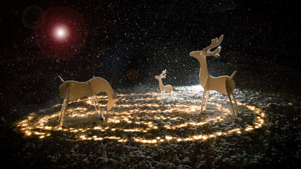 暴风雪中木鹿的剪影图片下载