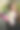 混合花卉组成与绣球花，牡丹康乃馨，吉思兰在帽盒在妇女的手图片下载