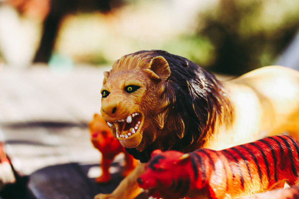 野生动物形状的玩具图片下载