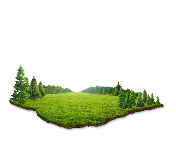 三维森林景观插图。空白空间抽象插图。生态设计理念。图片下载