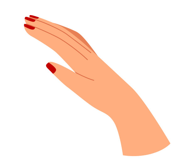 优雅女性手配红色指甲油，美丽概念。优雅女人的手姿，时尚插画。矢量插图。图片下载