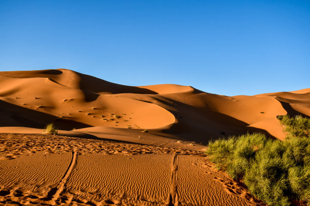 沙漠中的沙丘，照片为背景图片下载