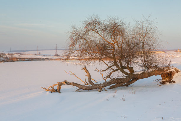 俄罗斯寒冷的冬天。西伯利亚美丽的日出。寒冷的冬天照片。图片下载