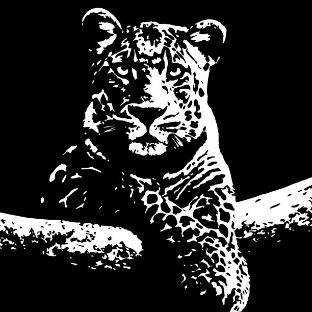 高对比度插图中细心的豹子图片下载