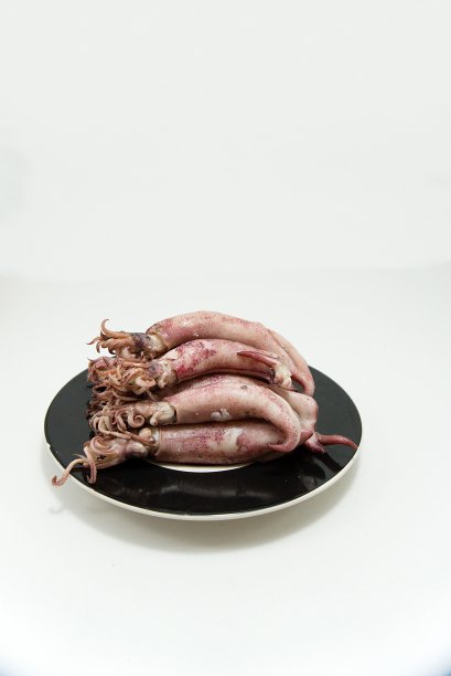 鱿鱼鱼的照片被放在一个平盘子上图片下载