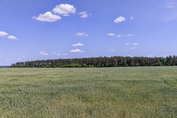 谷物业务在东欧增长图片下载