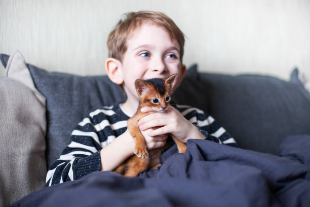快乐的孩子手里拿着阿比西尼亚红猫。小男孩在家里和小红猫玩耍。宠物护理。关于猫的网站图片。有选择性的重点。图片下载