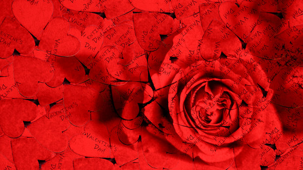 3D，千颗红心中的一朵红玫瑰，献上我对你所有的爱图片下载