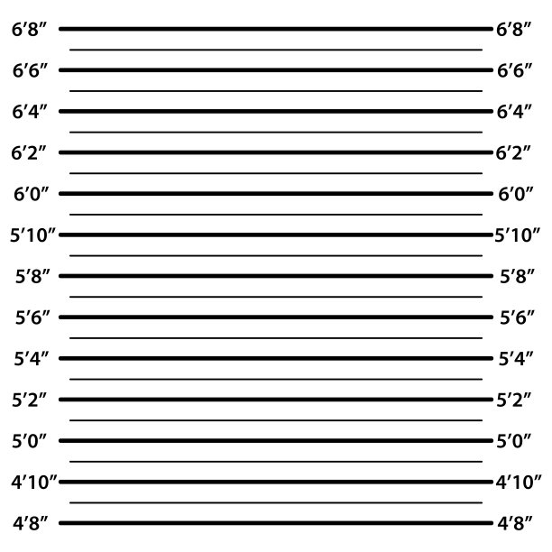 疑犯照片海报，尺，尺。犯罪嫌疑人图片下载