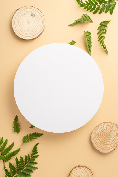 自然美概念。高角度视角垂直照片，白色的空圈被蕨类植物和圆形木制底座的树枝包围，在孤立的米色背景上，带有复制空间图片下载