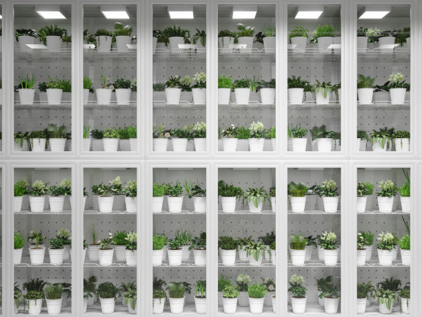 在花园中心的冰箱与花盆的正面视图图片下载