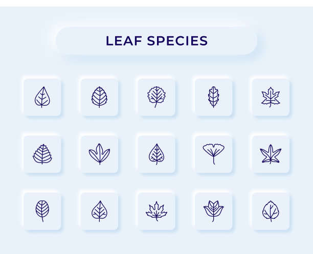 叶片种类线图标图片下载