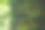 青苔上树，数码照片图片为背景图片下载