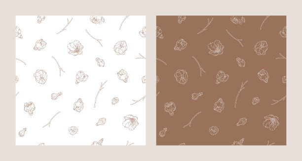 一套无缝图案与盛开的杏花图片下载