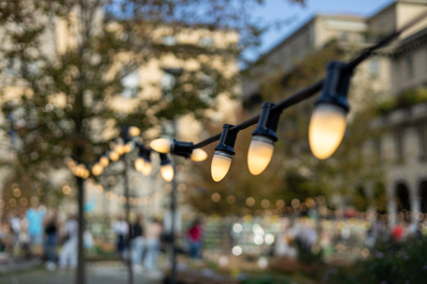 装饰户外街道电子花环。旧灯泡。灯挂在院子里。平台的概念。串线灯泡。派对上的彩灯装饰图片下载