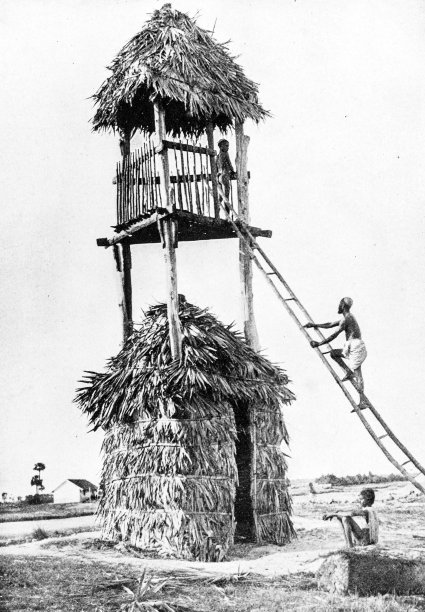 1895年印度的人物和地标:瞭望台图片下载