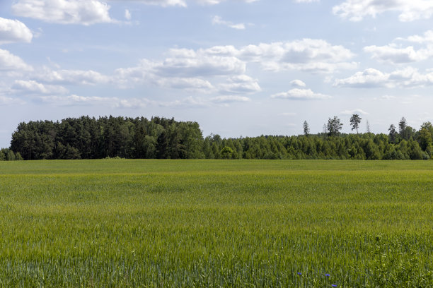 谷物业务在东欧增长图片下载
