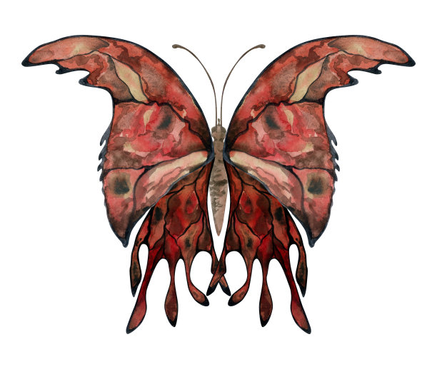 手绘水彩插画蝴蝶仙女翅膀宝石水晶虫蛾。石榴石红宝石、太阳石玛瑙、火蛋白石。白色背景上孤立的单一物体。设计印刷店，婚礼，生日图片下载